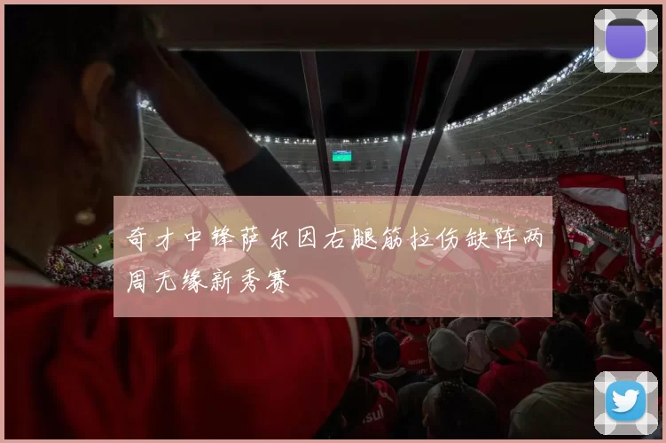 奇才中锋萨尔因右腿筋拉伤缺阵两周无缘新秀赛